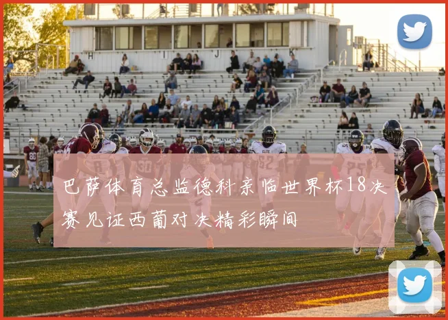 巴萨体育总监德科亲临世界杯18决赛见证西葡对决精彩瞬间