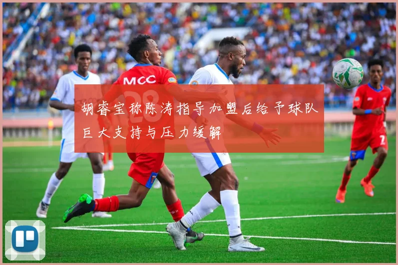 胡睿宝称陈涛指导加盟后给予球队巨大支持与压力缓解